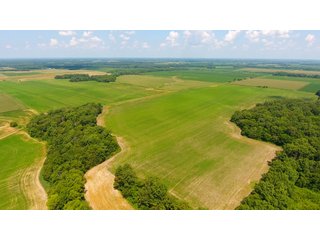Property photo 1 - FARMLAND AUCTION - 240+/- ACRES IN 3 TRACTS IN JEFFERSON COUNTY, ILLINOIS
